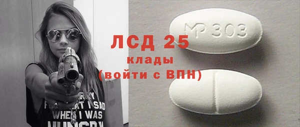 хмурый Алзамай