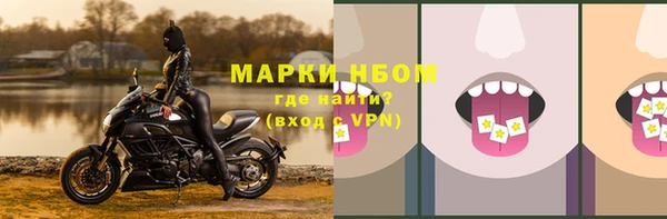 хмурый Алзамай