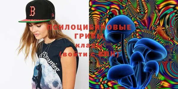 экстази Алексин