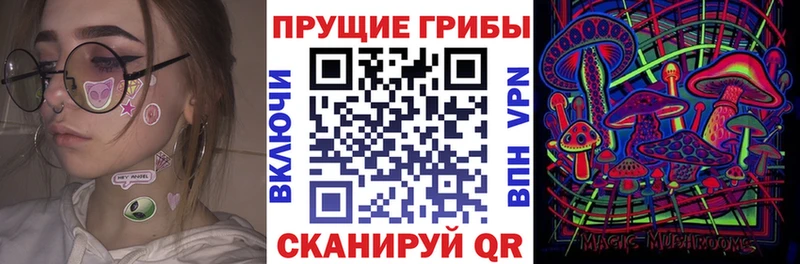 купить наркоту  Лагань  это состав  Галлюциногенные грибы мухоморы 